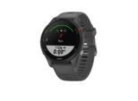 Garmin Unisex Forerunner 255 grau