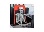 Mikamax Life Size Skeleton - 170 cm
