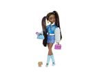 Barbie Dream Besties Brooklyn