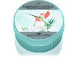 Kringle Candle Snowbird theelichtje 42 gr