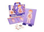 Spiel »mierEdu Magnet Pad – Menschliche Anatomie«