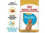 ROYAL CANIN BHN Poodle Puppy 3kg
