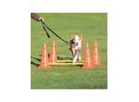Trixie Hundetraining Pylon-Hindernisset (4 Pylonen - 2 Stangen)