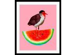 queence Bild »Josi«, Obst-Obst Bilder-Kunst-Lebensmittel-Wassermelone-Vögel-Vogelbilder, HD Premium Poster-Druck inkl....