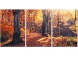 queence Acrylglasbild »Herbstwald 3-teilig«, Wald-Waldbilder-Bäume-Baum-Baumbilder-Sonnenaufgang & -untergang-Spa-Spa Bilder, (1 St.), Fine Art-Print in Galeriequalität