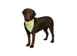 Trixie Sicherheits-Halstuch für Hunde S-M 29-42cm