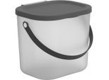 Rotho Waschmittelbehälter Albula , Anthrazit, Transparent , Kunststoff , 20x20.8x23.5 cm , Reach, DIN EN ISO 14001, DIN EN ISO 9001 , Tragegriff, Deckel aufklappbar , Haushaltsreinigung, Wischen & Reinigen