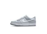 Nike Dunk low two toned grey (gs)