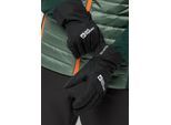 Jack Wolfskin Skihandschuhe »WINTER BASIC GLOVE«