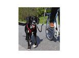 Trixie Biker-set L-shaped S-M black