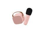 Lalarma Karaoke Set - Rose