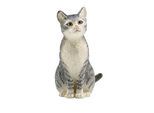 Schleich® Farm World 13771 Katze Spielfigur