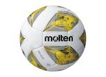 Molten Fussball »Ballgrösse: 5«
