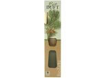 Xxxl Diffuser , Naturfarben , Glas , 24 cm , wiederverschließbar , Dekoration, Raumdüfte, Diffuser