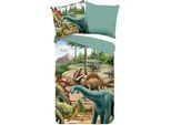Xxxl Jugendbettwäsche , Multicolor , Textil , Dinosaurier , 135x200 cm , atmungsaktiv, angenehm wärmend , Heimtextilien, Bettwäsche & Leintücher, Kinderbettwäsche