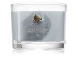 Yankee Candle Woodland Weekend Memories votiefkaarsen 37 g