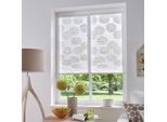 my home Plissee »BELUM«, Lichtschutz, ohne Bohren, verspannt, im Fixmass, Ausbrenner, Kreise, Blumen, Klemmträger