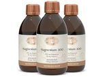 Magnesium 300 Orange-Maracuja Konzentrat