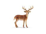 Schleich Wild Life White-Tailed Buck