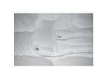 BeCoBeCo Soft 4 All Bettdecke für jedes Schlafzimmer200 x 200 cm4-Jahreszeiten