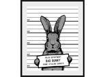 queence Bild »Akani«, Hase-Hasen-Haustiere-Schwarz-Weiss-Humor, (1 St.), HD Premium Poster-Druck inkl. Holzrahmen