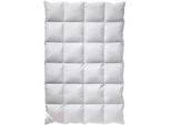 Billerbeck Winterdecke Kassette , Weiß , Textil , Füllung: Federn, Daunen , 140x200 cm , für Hausstauballergiker geeignet, feuchtigkeitsregulierend, weich und anschmiegsam, reines Naturprodukt, hervorragender Wärmespeicher, passt sich perfekt der Körperform an, für Rückenschläfer geeignet, für Bauchschläfer geeignet, für Seitenschläfer geeignet, Tasche, sehr leicht, atmungsaktiv, für alle Schlafpo
