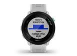 Garmin Unisex Forerunner 55 grau