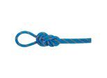 Mammut - 8.0 Alpine Eco Dry Rope - Halbseil Länge 70 m blau/weiß