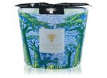 Baobab Collection Sacred Trees Yarani geurkaars 10 cm