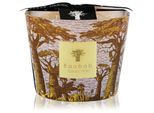 Baobab Collection Sacred Trees Cocody geurkaars 10 cm