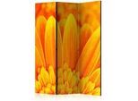 artgeist Paravent doppeltseitig , Gelb, Orange , Holz, Textil , Kiefer , massiv , Blume , 135x172x3 cm , Motiv auf Vorder- und Rückseite , Kleinmöbel