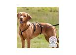 Trixie Panic Harness Stay Escape-Proof Dog Harness L-XL 75-Stomach Circum: 75-100cm