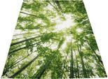 merinos Teppich »BELIS BÄUME«, rechteckig, 13 mm Höhe, Kurzflorteppich, Natur Wald Motiv, für alle Räume