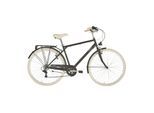 ANITAbyAlpina Cityfahrrad SHARIN MAN 28 Zoll , schwarz