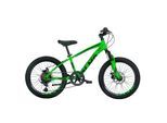 Montana, OLMO Mountainbike 20 Zoll Demonte, grün