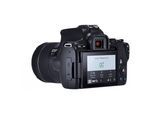 Spiegelreflex EOS 250D - Schwarz + Canon EF-S 18-55mm f/4-5.6 IS STM f/4-5.6