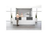 Empfangstheke Come-In, 2 Ablage, gerade, Breite 3200 mm, weiss/graphit