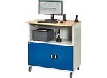 Computer-Station Typ 6001, B 1100 x T 800 x H 1100 mm, fahrbar
