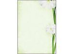 Motivpapier Sigel "Green Flower", A4, 90 g/m², Blumen-Motiv, 25 Blatt