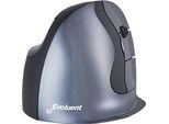 Vertikalmaus BakkerElkhuizen Evoluent D, ergonomisch, USB, 5 Tasten inkl. Scrollrad, verchromt