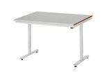 Rau Arbeitstisch Adlatus, elektrisch höhenverstellbar, 25 mm MDF-Platte, Edelstahlbelag, bis 150 kg, B 1250 x T 800 x H 720-1120 mm, silber/lichtgrau