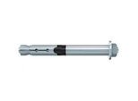 fischer Hochleistungsanker FH II 24/100 B