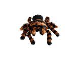 Mikamax Giant Tarantula Plush