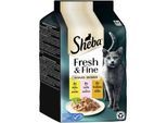 Sheba Fresh & Fine Nassfutter Katze Adult, Multipack, in Sauce 36x50 g Huhn, Lachs und Truthahn