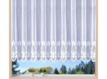 Weckbrodt Gardine »Weimar«, (1 St.), Jacquard, floral, Halbtransparent, Sockel, Bordüre, gebogt, Store