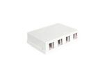 DeLOCK Keystone Surface Mounted Box - 4 Port