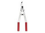 Felco 20 Astschere)