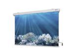 Magnetoplan Kurbel-Leinwand, 2400 x 2400 mm (6201224)