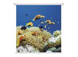 Magnetoplan Rollo-Leinwand, 1800 x 1800 mm (6201114)