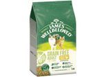 James Wellbeloved Trockenfutter Katze Adult, Getreidefrei Truthahn 4 kg